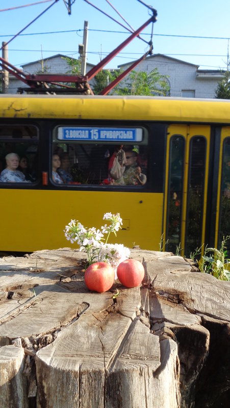 Трамвайно-яблочный  натюрморт - Алекс Аро Аро