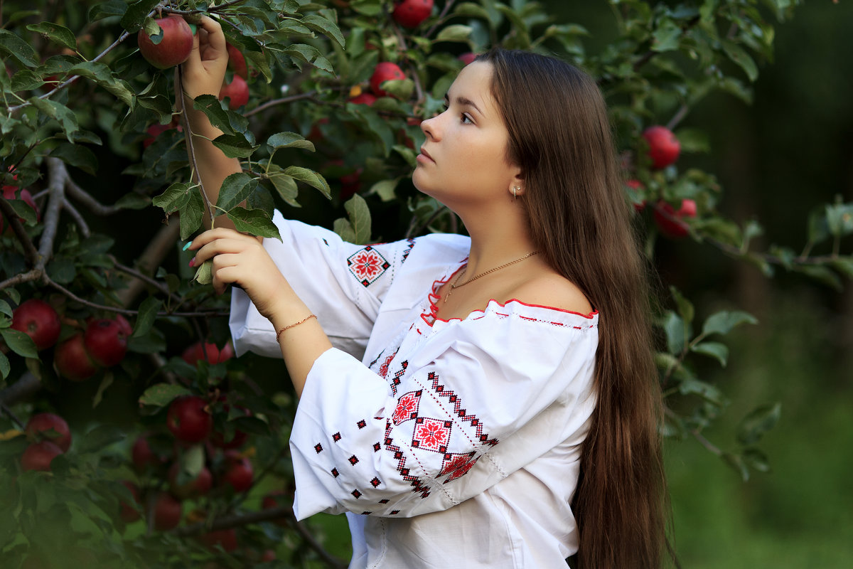 Поспели яблочки в саду,у дяди Юры!!! - Наталья Малкина