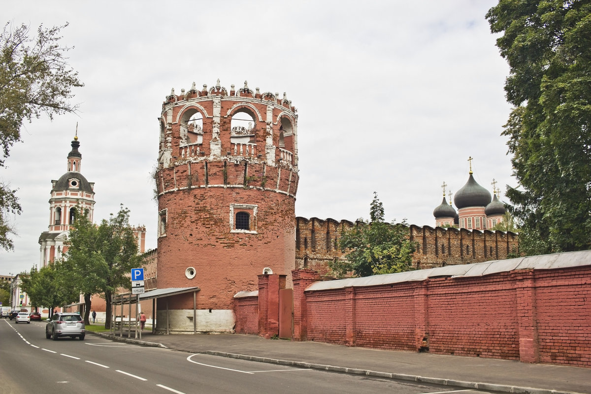 Донской монастырь - Олег 
