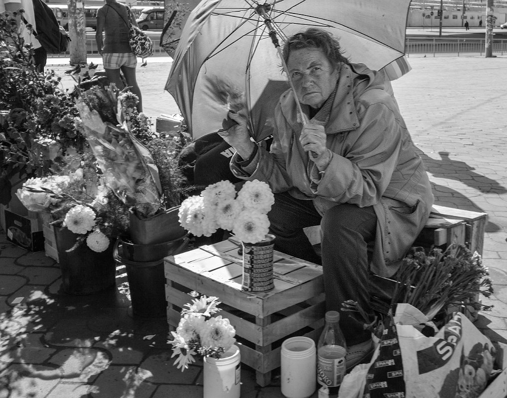 Уличная продавщица цветов - Вадим Sidorov-Kassil