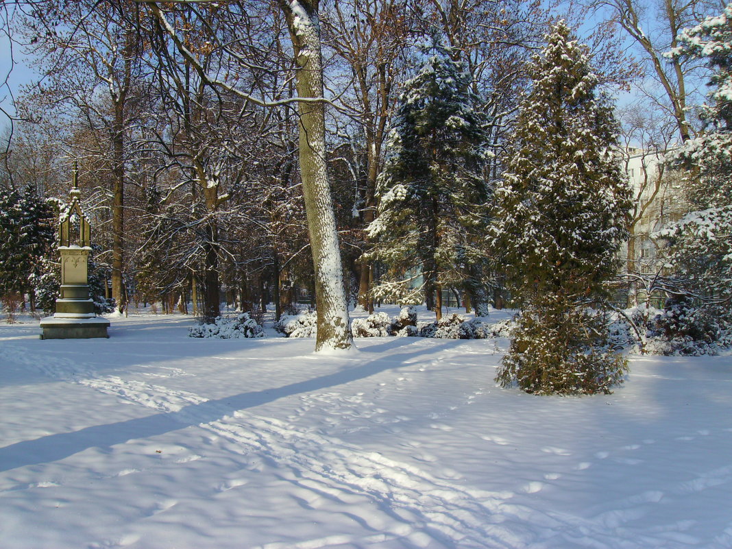Зима  в   Ивано - Франковске - Андрей  Васильевич Коляскин
