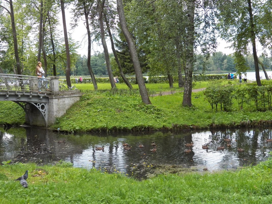 В  ПАРКЕ - Виктор Елисеев