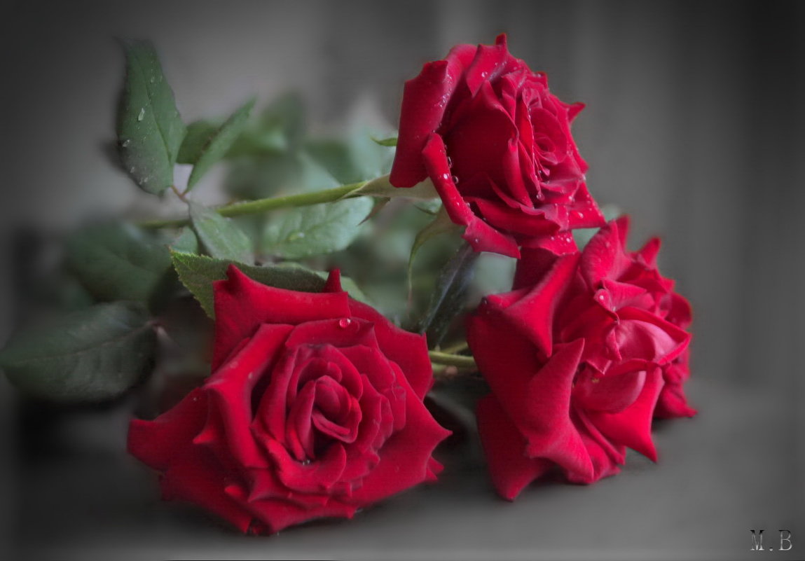 Букет из красных роз – Он символ страсти, - Людмила Богданова (Скачко)