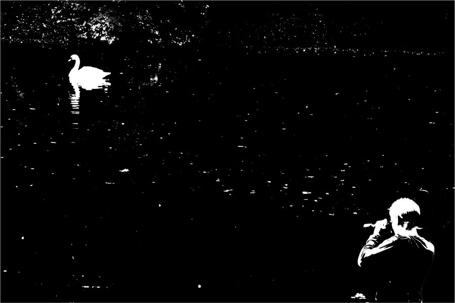 &#39;Глядь — поверх текучих вод Лебедь белая плывет.&#39; /А.С. Пушкин/ - Марина Буренкова