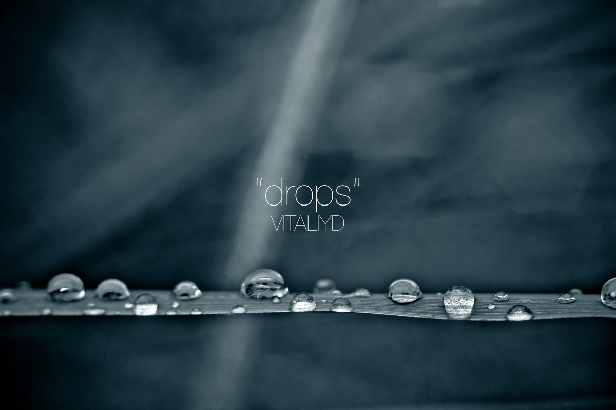 drops - Vitaliy Dankov