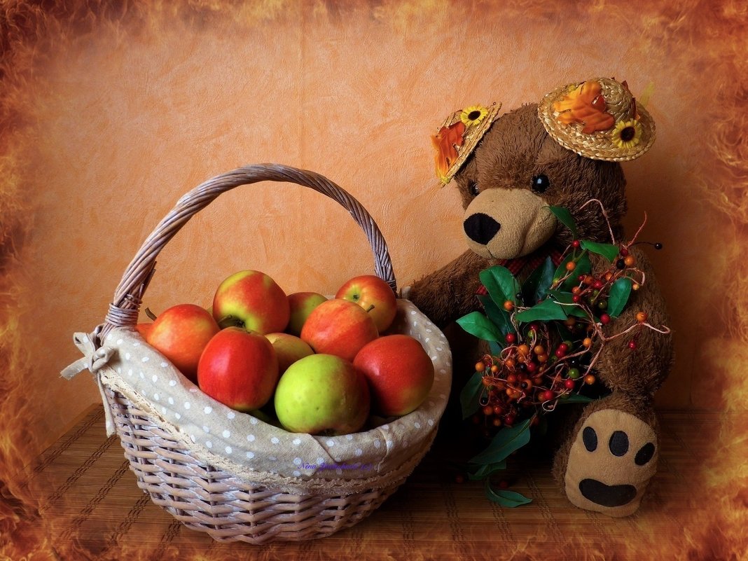 Медведь и корзина с яблоками - Nina Yudicheva