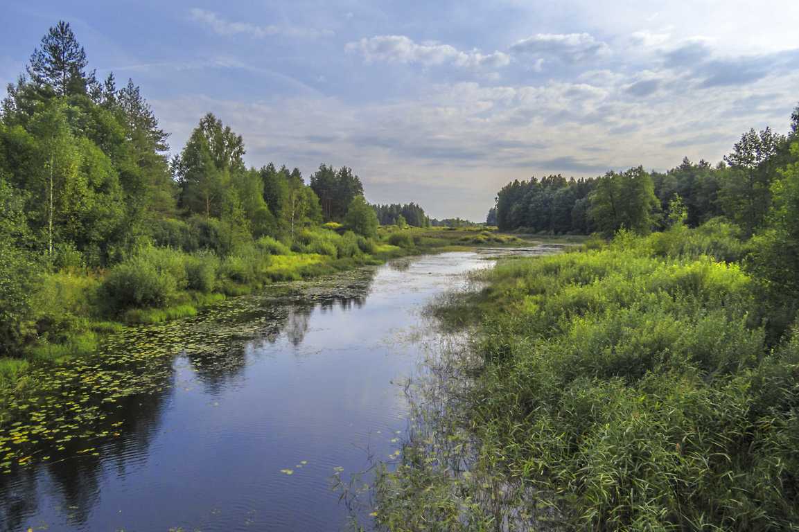 Река Войнинга - Сергей Цветков