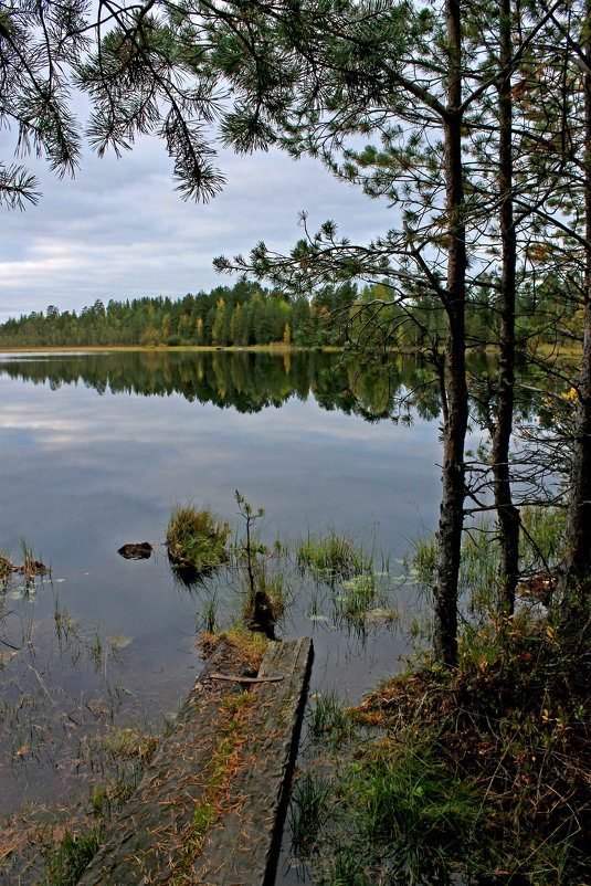 Озеро Медвежье - Анжела Пасечник