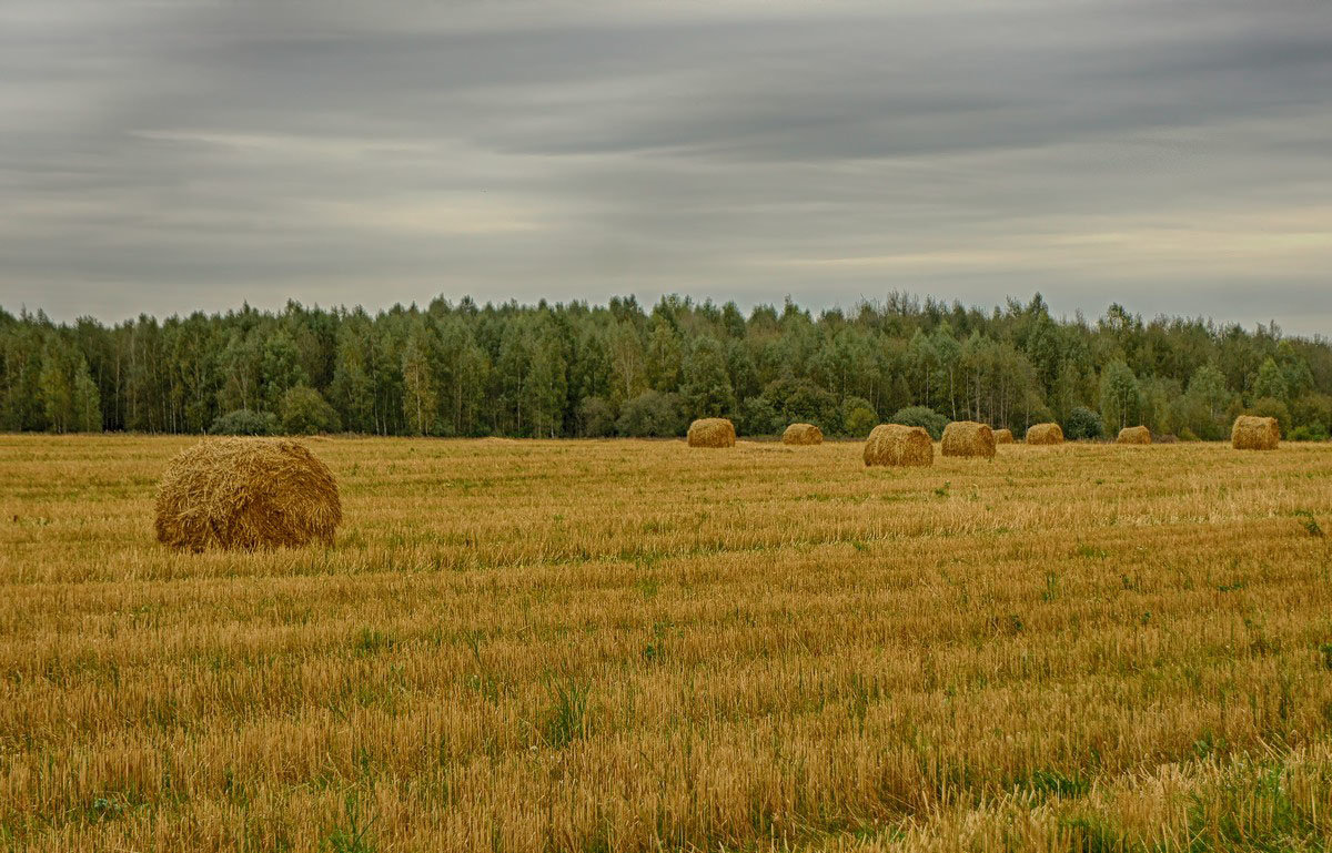 Осенние мотивы... - марк 