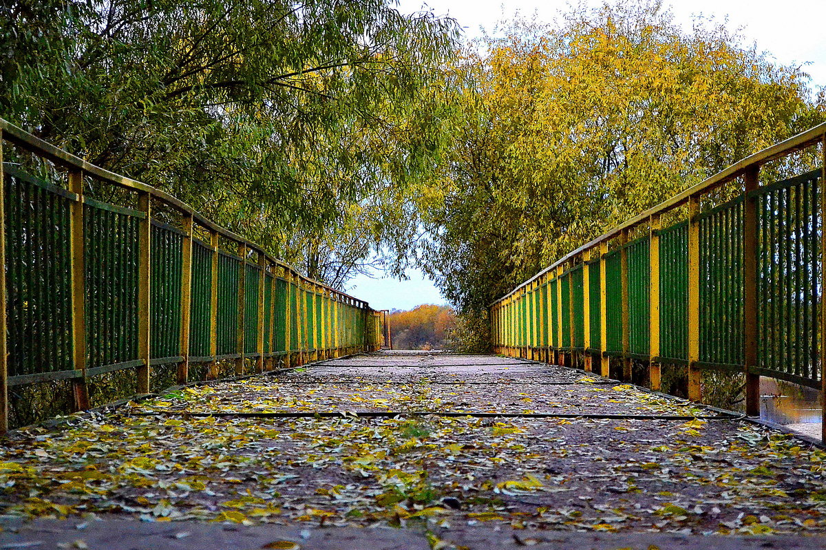 Дорога в Осень - Сергей Землянский