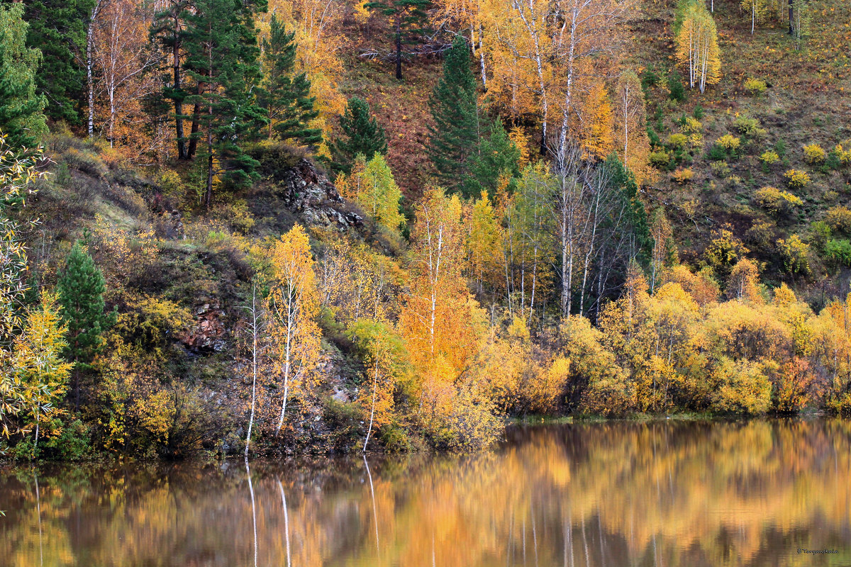 Золотая осень по берегам озера - Екатерина Торганская