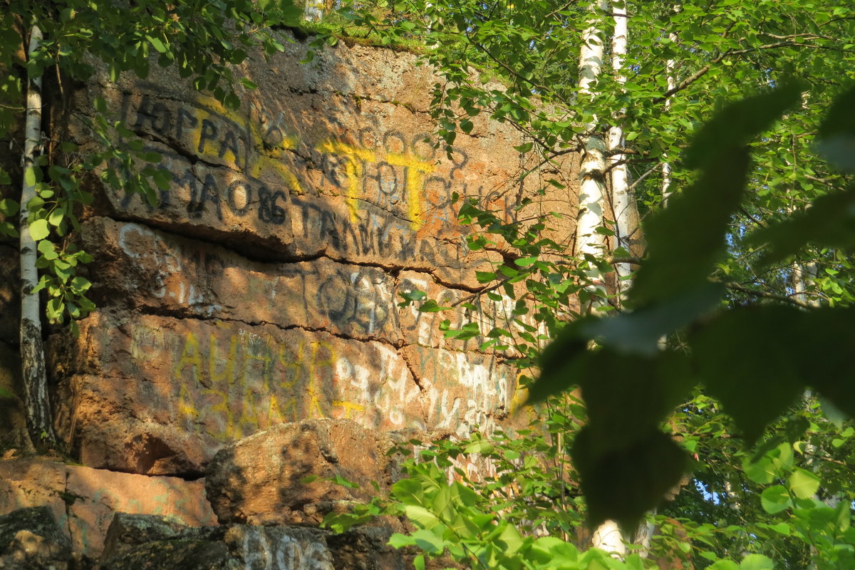 Надписи на скале - Вера Щукина