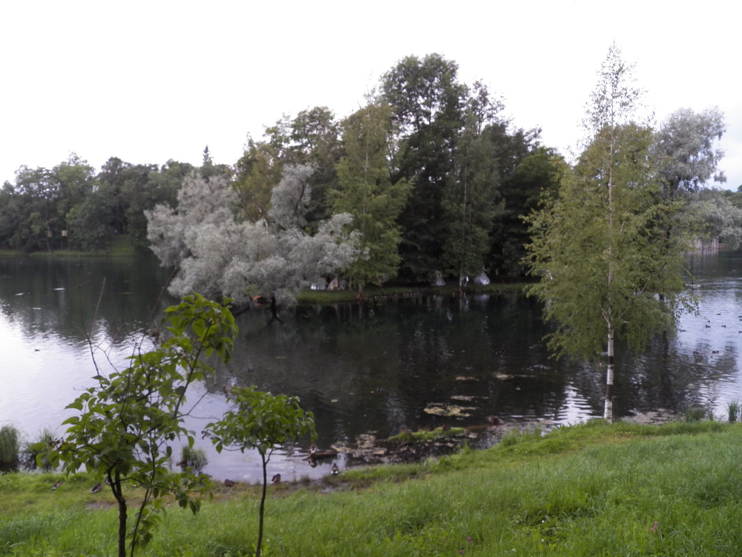 В  ПАРКЕ - Виктор Елисеев