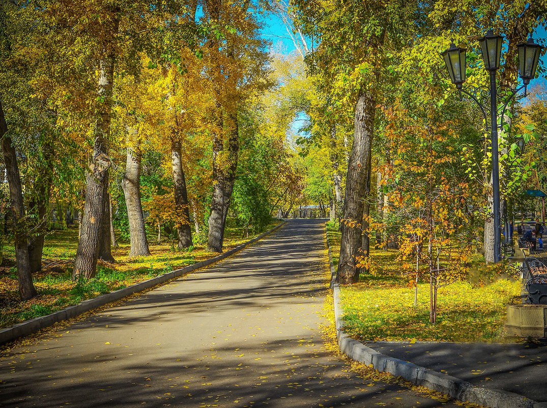 Осенняя аллея в городе - юрий Амосов
