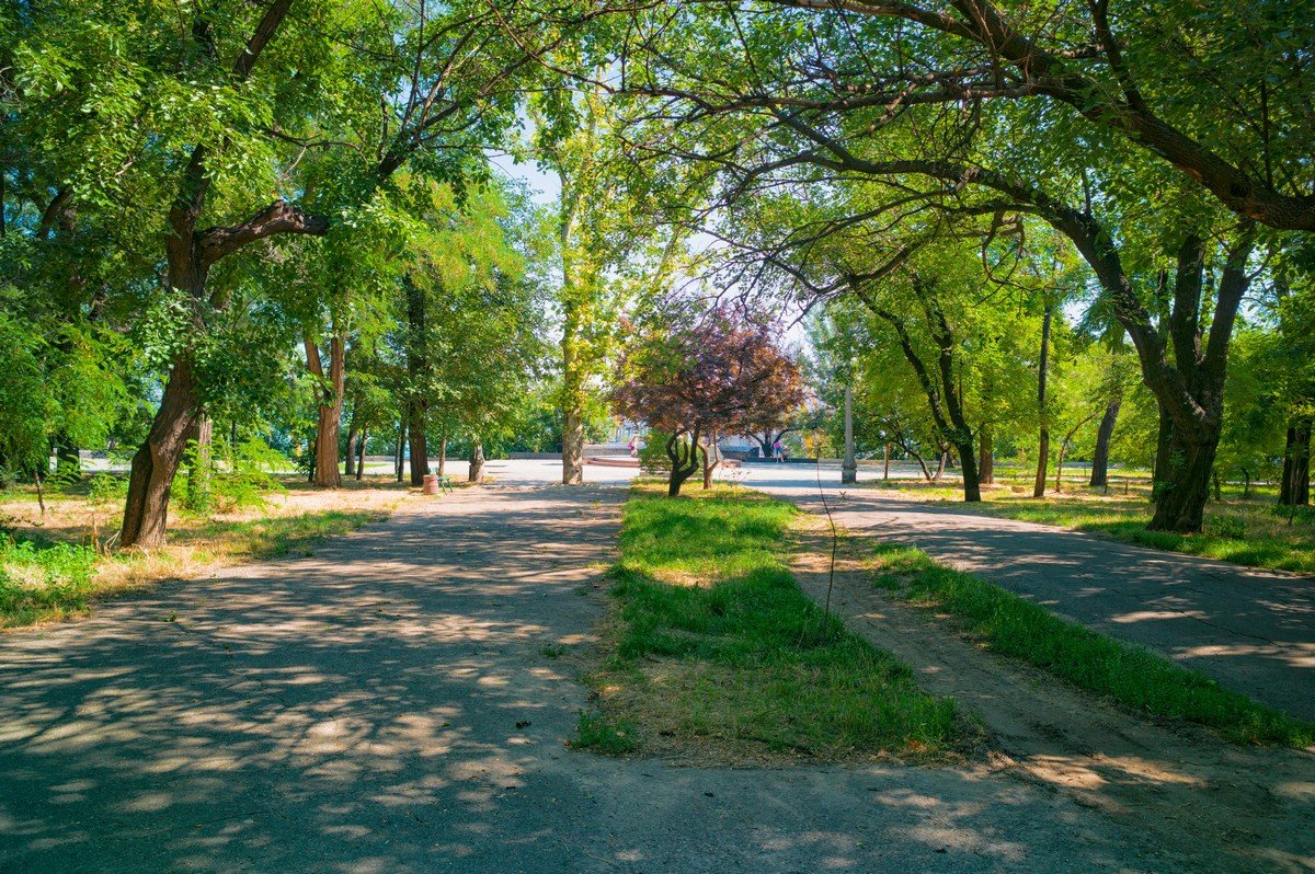 Летний день в тени старого парка. - Вахтанг Хантадзе