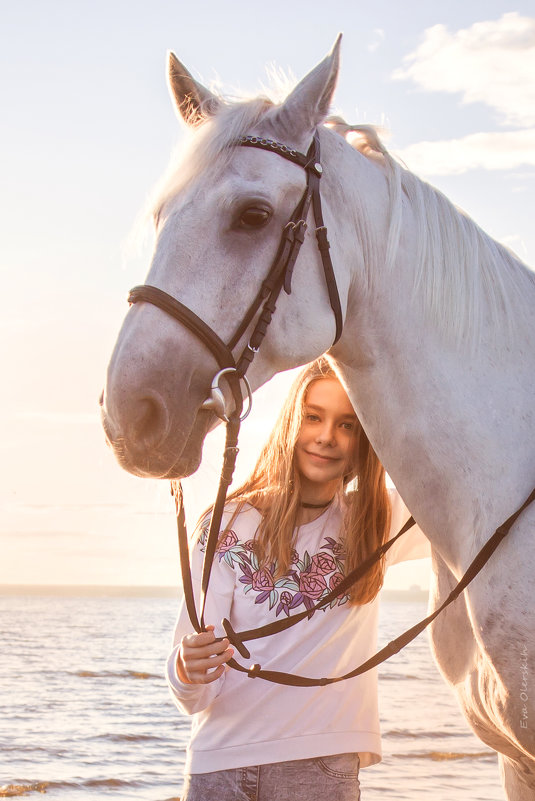 Любовь к лошадкам - Ева Олерских