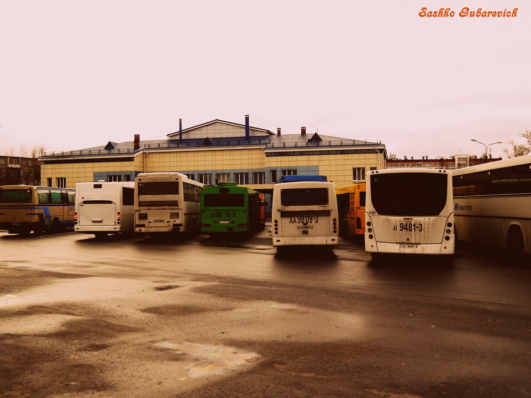 Автовокзал и автобусы - Сашко Губаревич