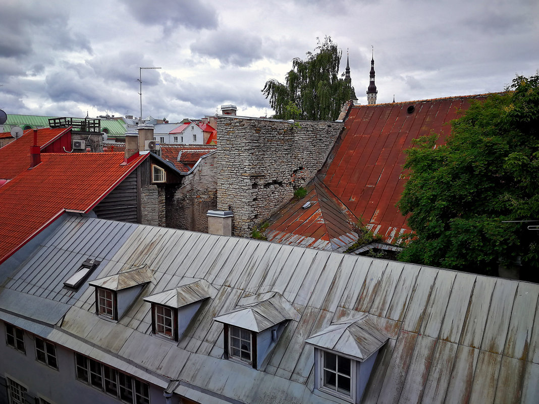 Прогулка по крышам Таллина - Alex 