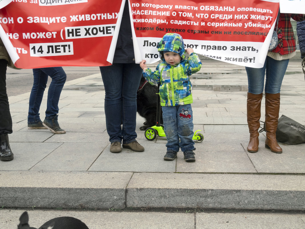 Убрал желтизну у плит и асфальта - Владимир Шибинский