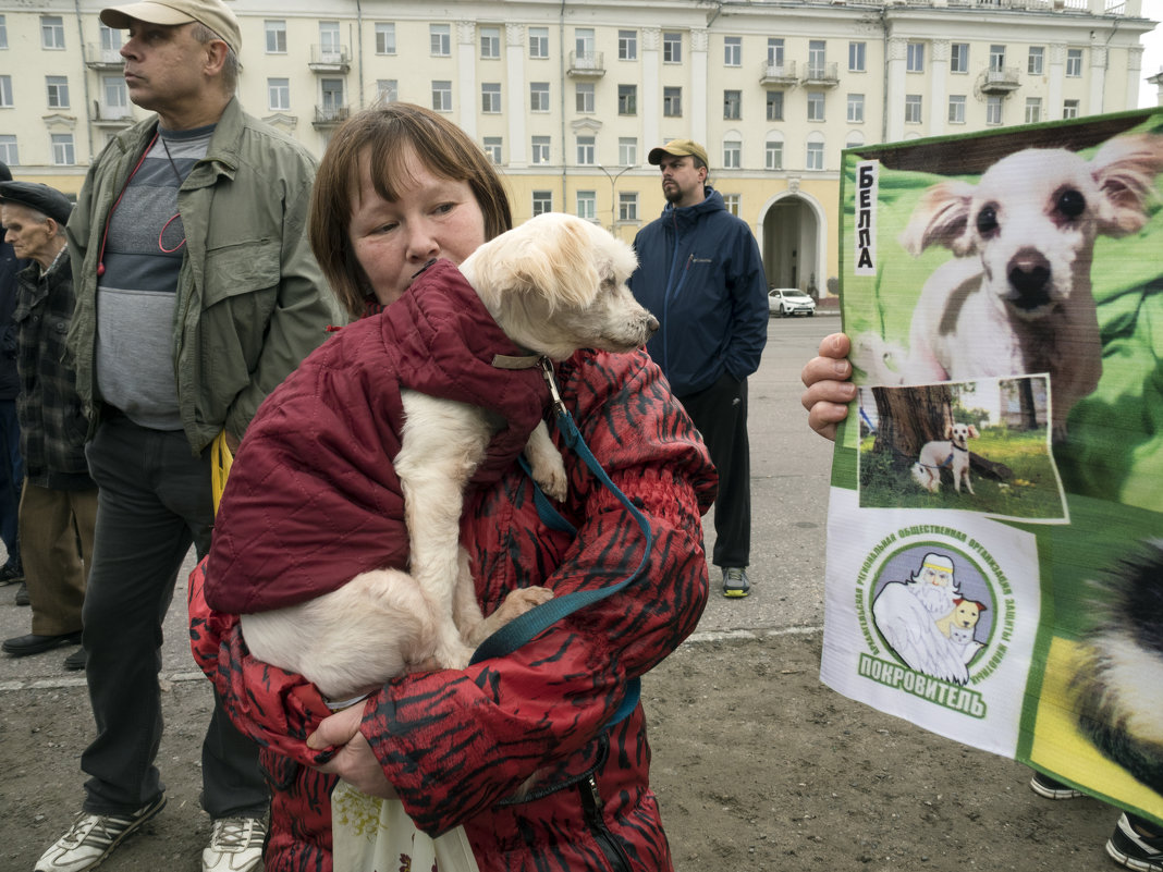 Северодвинск. Митинг в защиту животных (4) - Владимир Шибинский
