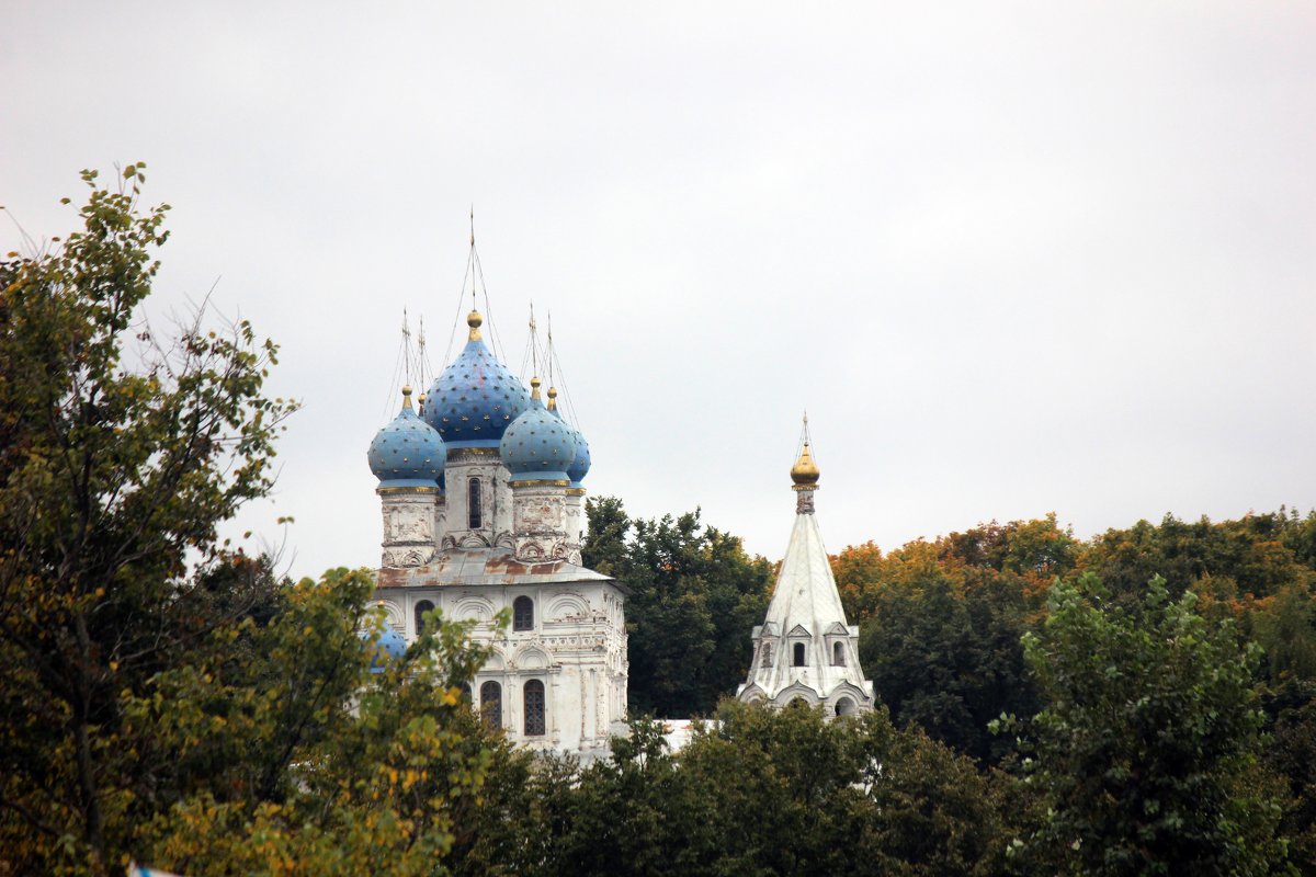 Купола  храма . - Виталий Селиванов 