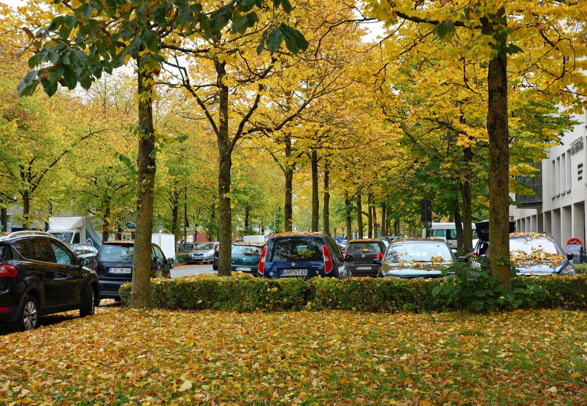 Осень... в городе Augsburg - Galina Dzubina