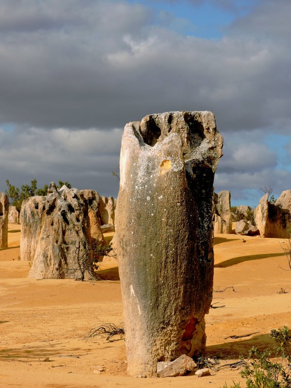 Австралия. Необыкновенная пустыня Пиннаклс (Pinnacles Desert) - Tatiana Belyatskaya