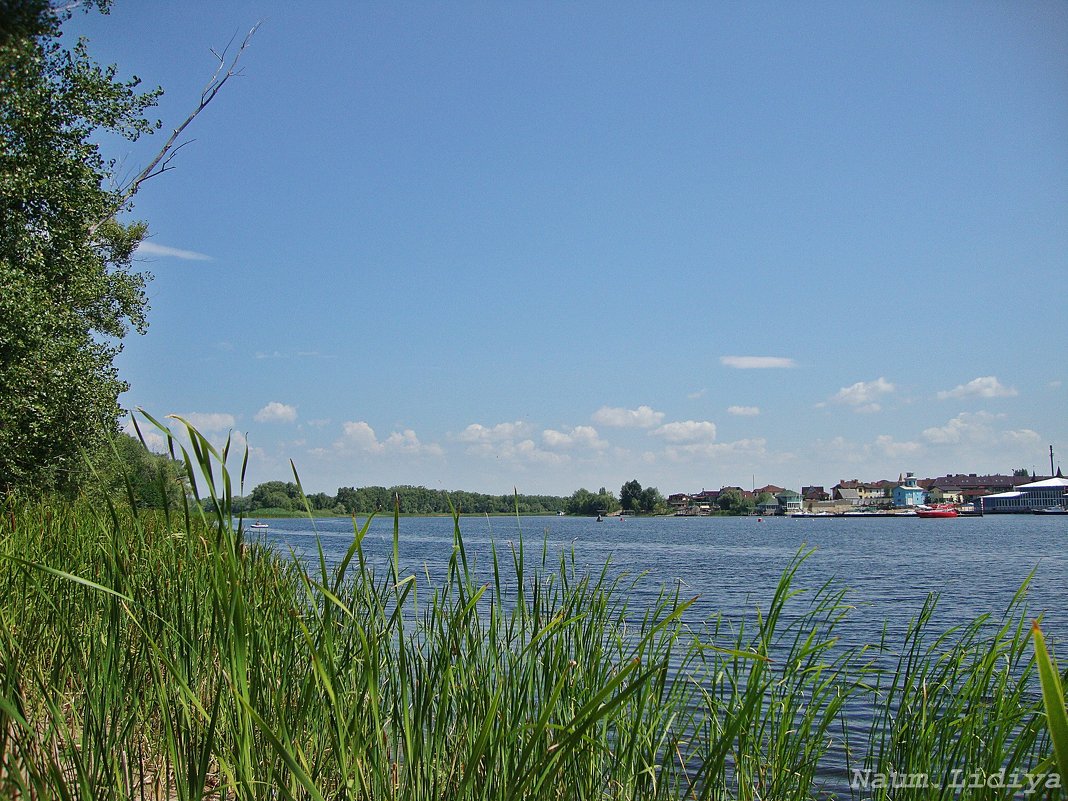 На Волге реке - Лидия (naum.lidiya)