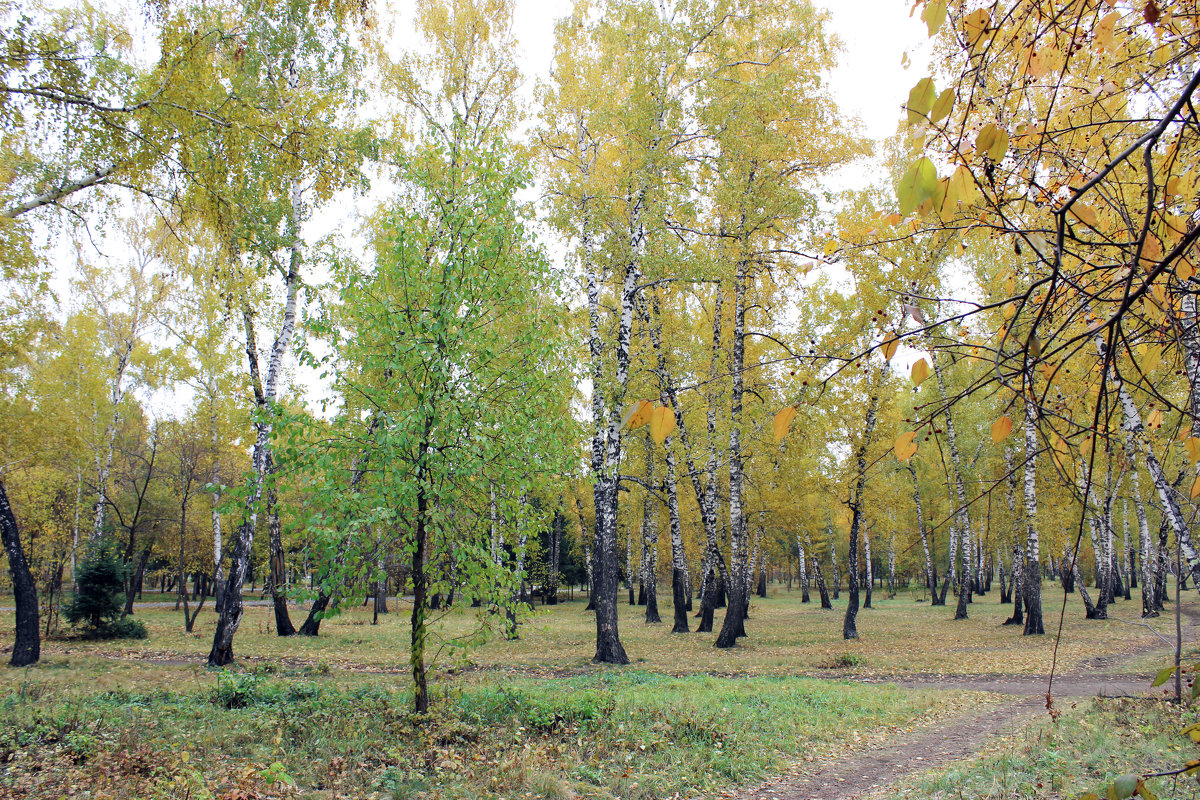 Осень - раиса Орловская