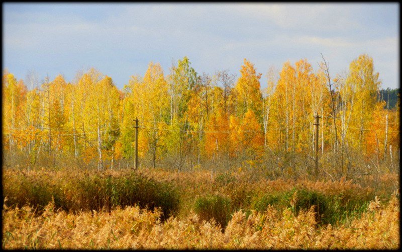 Осень - Михаил Цегалко