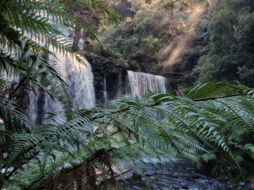 Водопад Расселл (Russell Falls) - Tatiana Belyatskaya