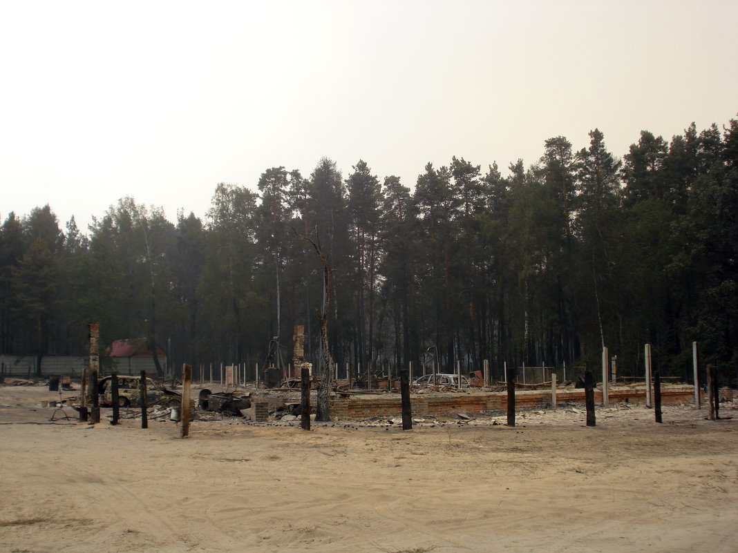 Природные пожарища Рязанщины в августе 2010 года - Николай Варламов