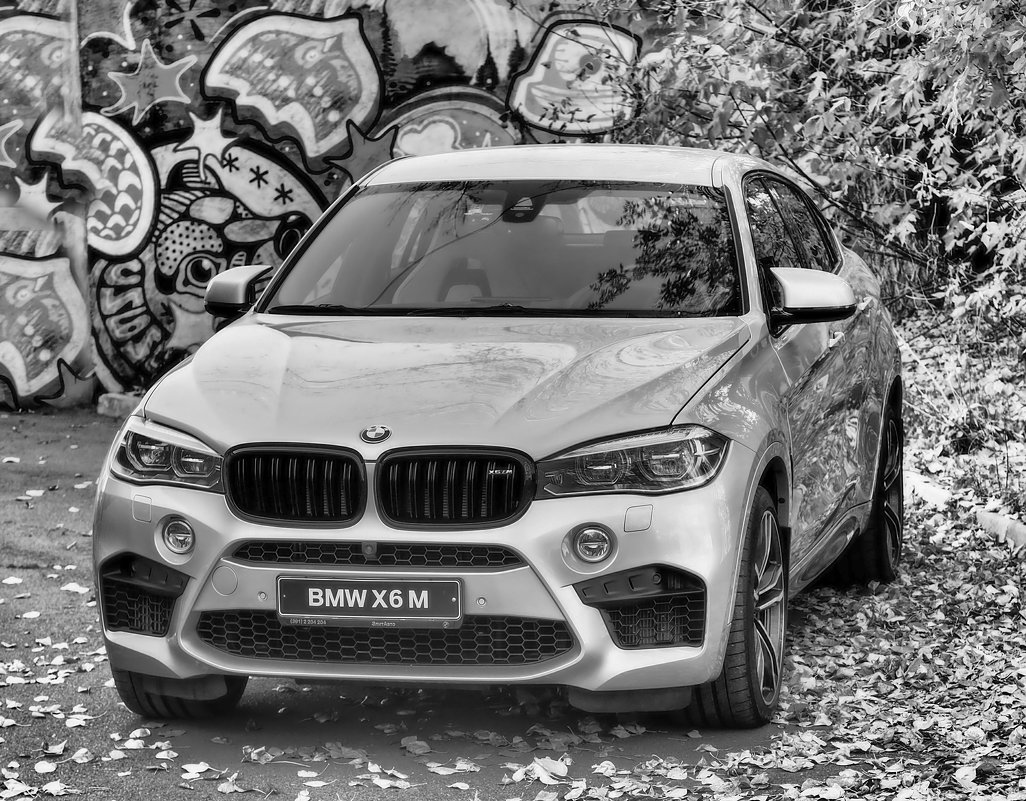 BMW X6 - Константин Батищев