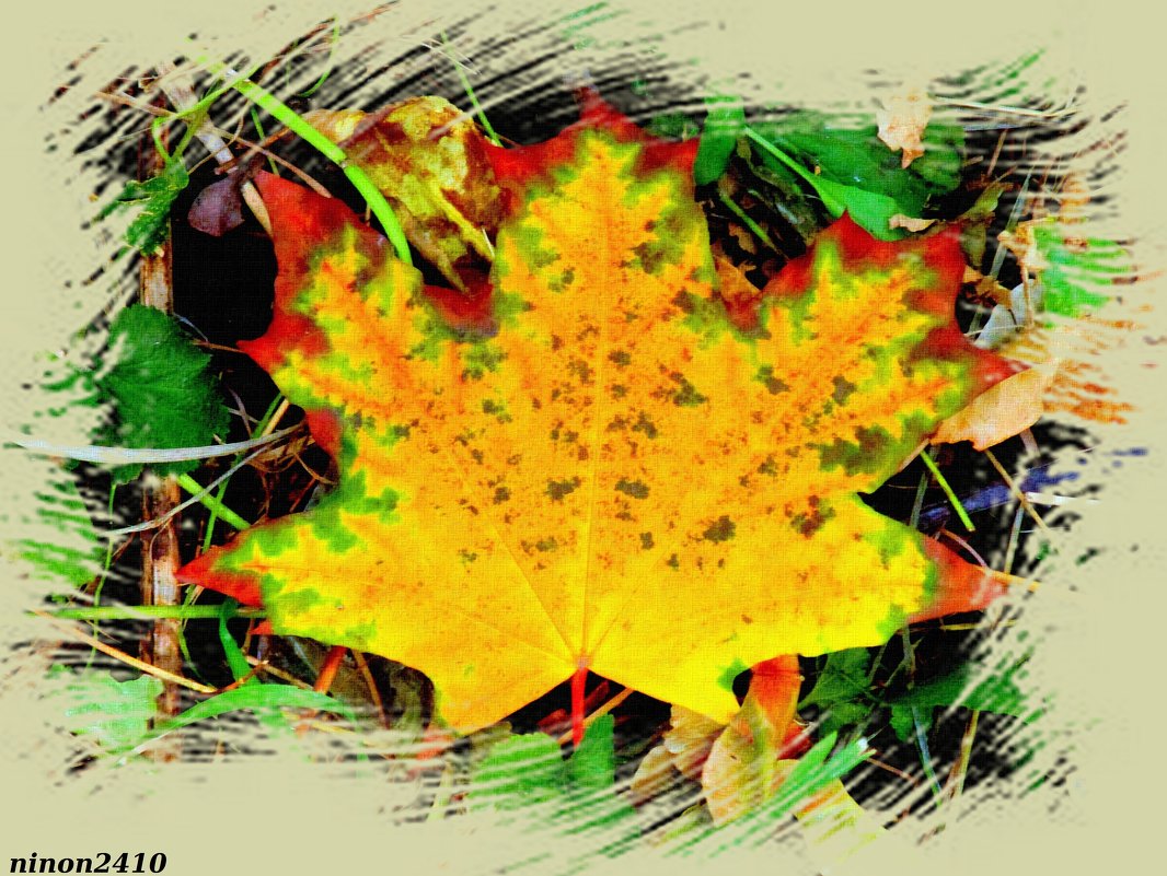 Осенний лист - Нина Бутко