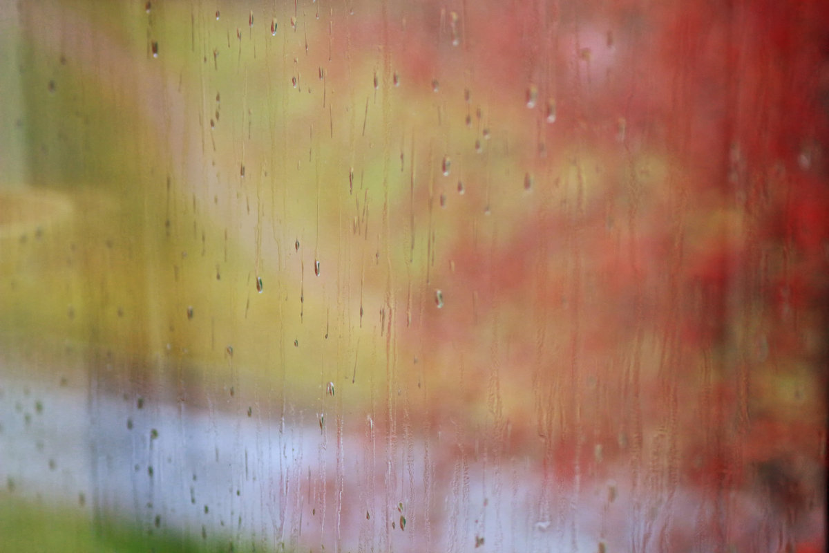 Дождь за окном - Елена Баландина