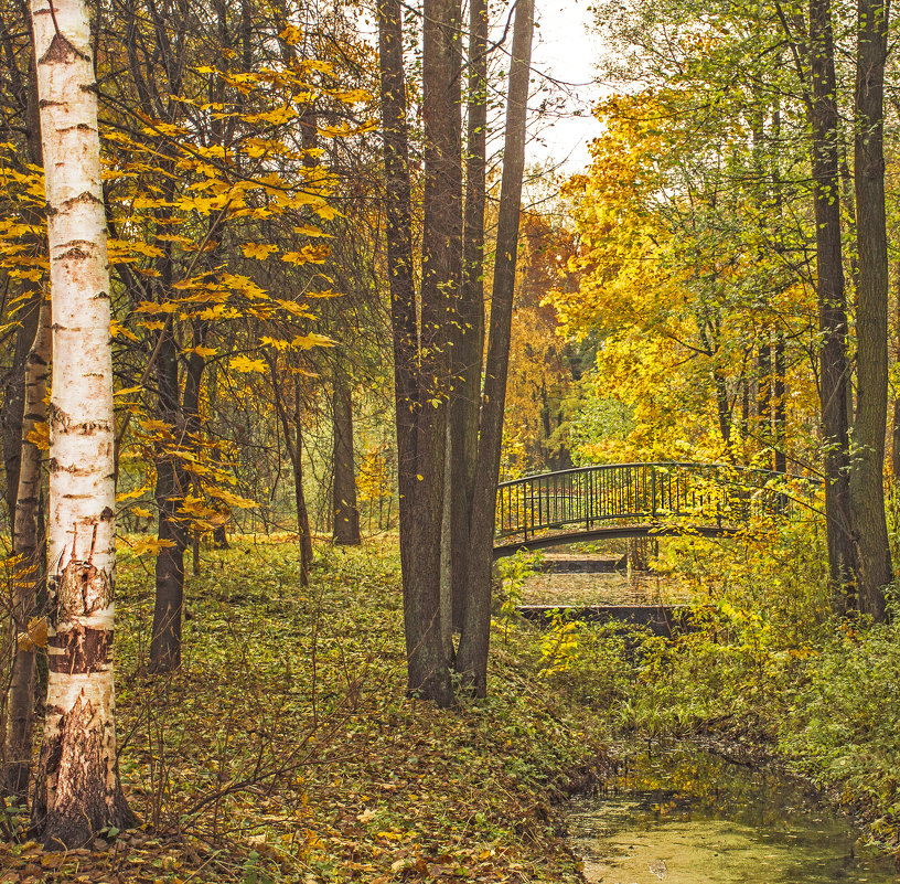 Осенний этюд с мостиком - bajguz igor