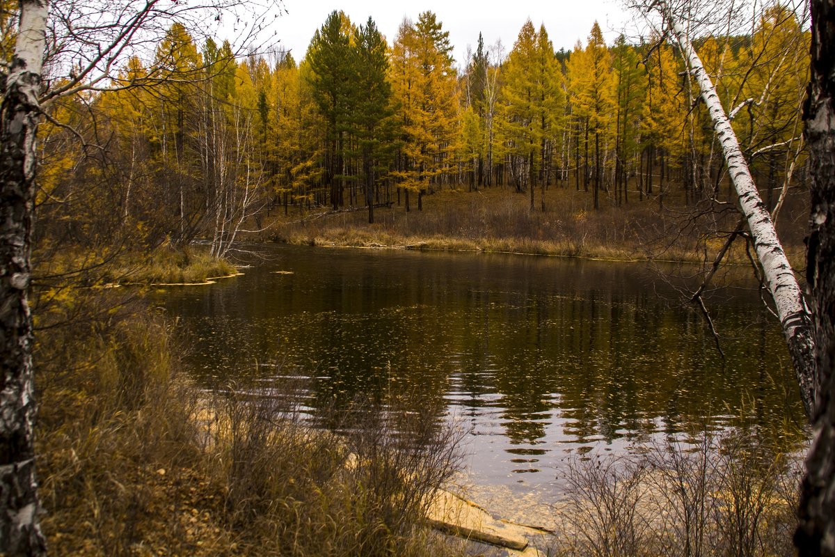 Осенняя река - Марина Кириллова