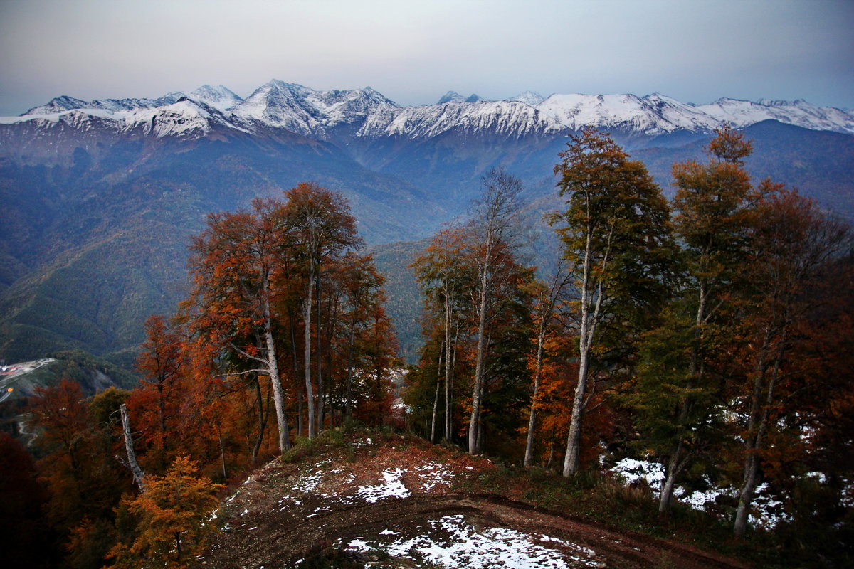 Осень в горах.Октябрь - Виолетта 