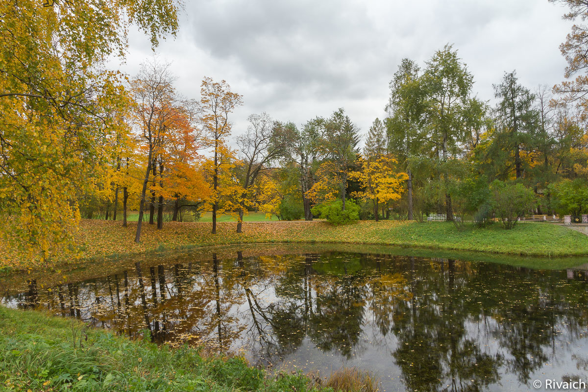 Осень - Сергей Залаутдинов