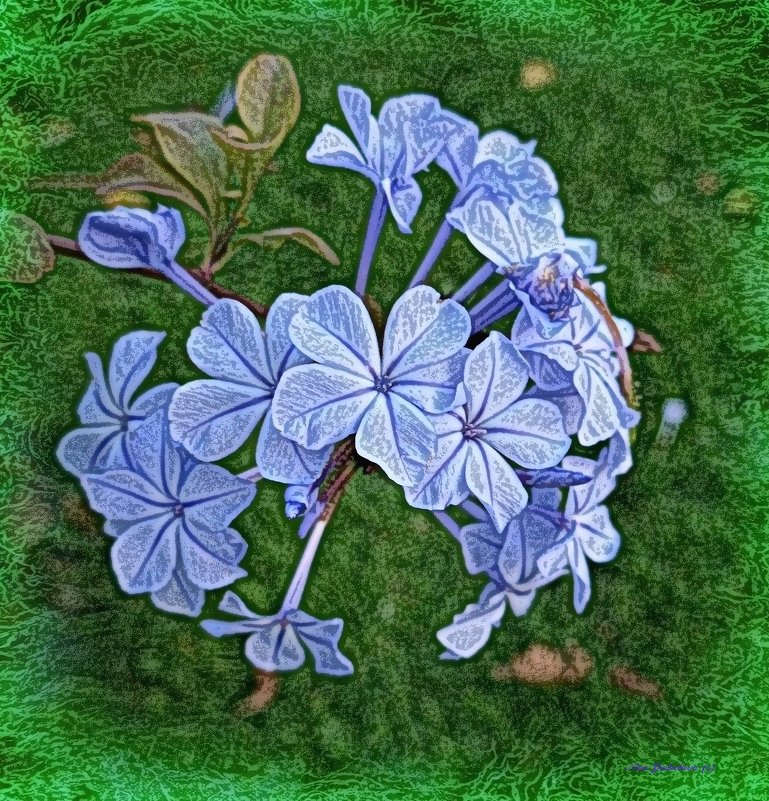 Голубые цветы - Nina Yudicheva