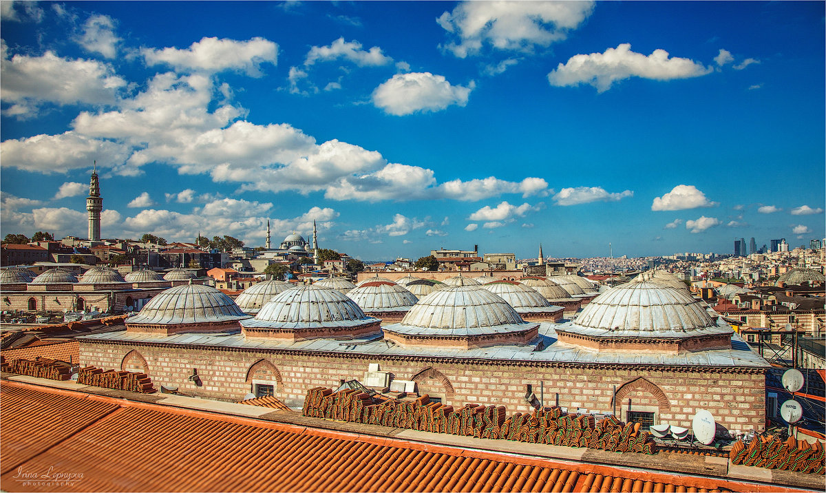 Крыши Гранд базара в Стамбуле - Ирина Лепнёва