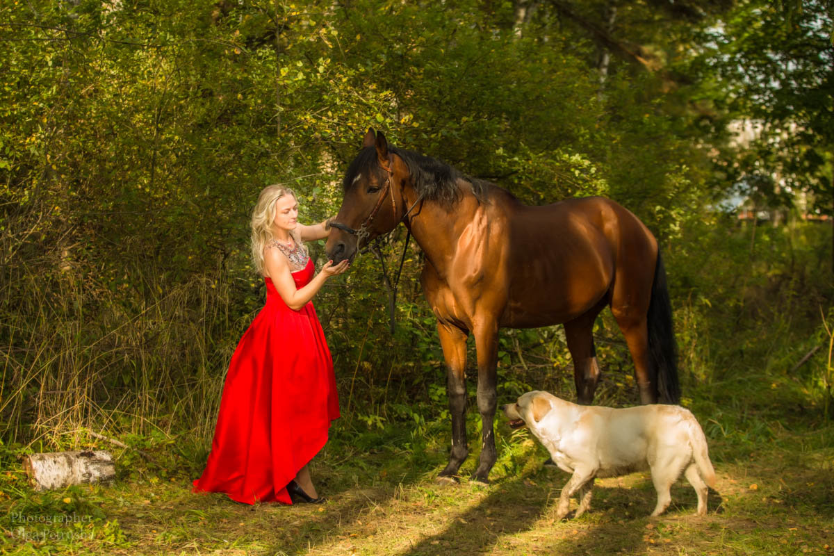 Фотосессия на лошади - Ольга Петруша