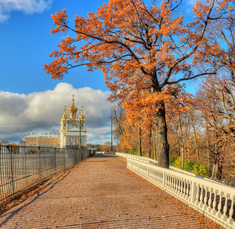 В парке - Сергей Григорьев