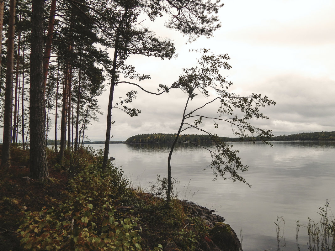 Страна Suomi. Озеро Сайма. - Лариса (Phinikia) Двойникова