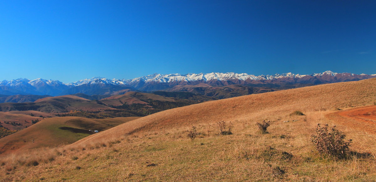 Осень в горах. Западная часть Главного Кавказского хребта - Vladimir 070549 