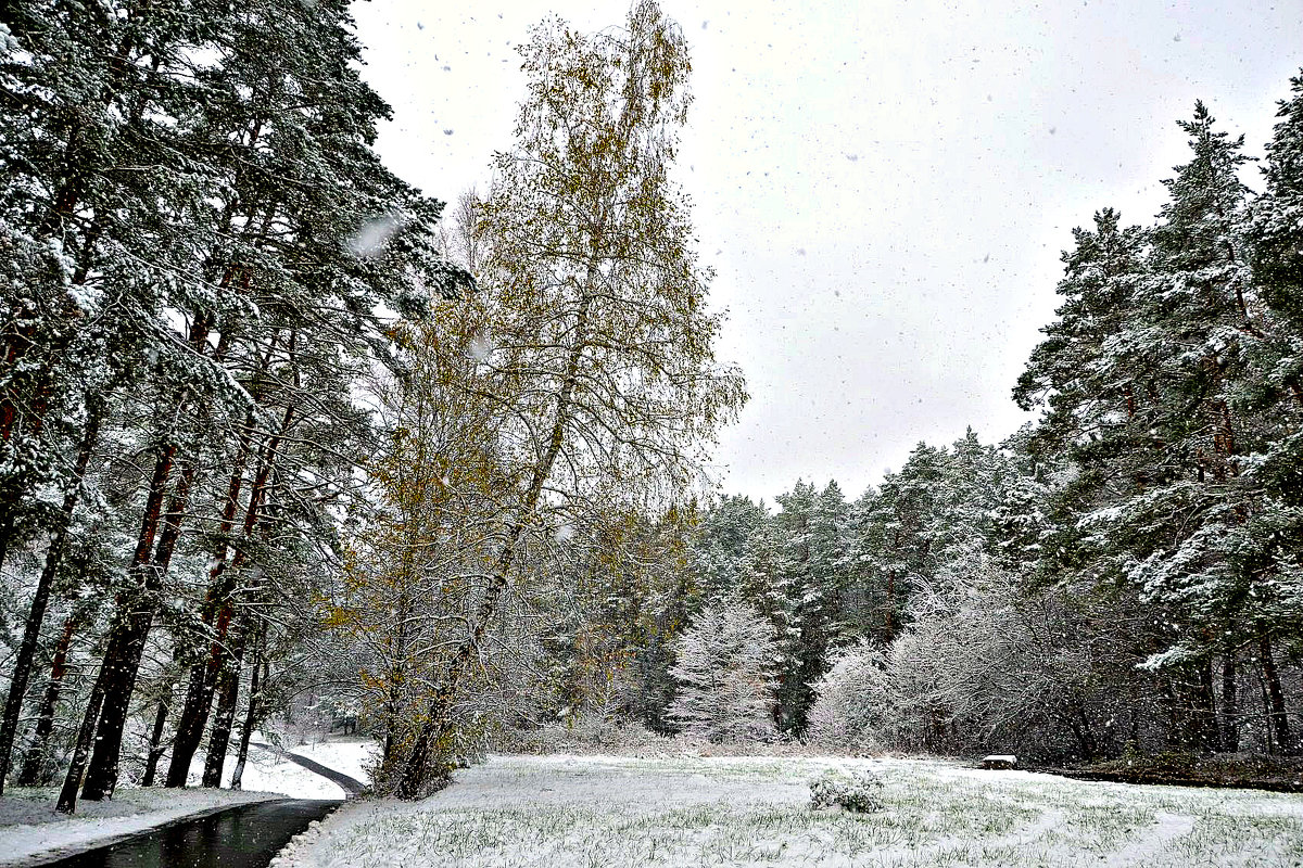 Первый снег в октябре в Подмосковье. - Михаил Столяров