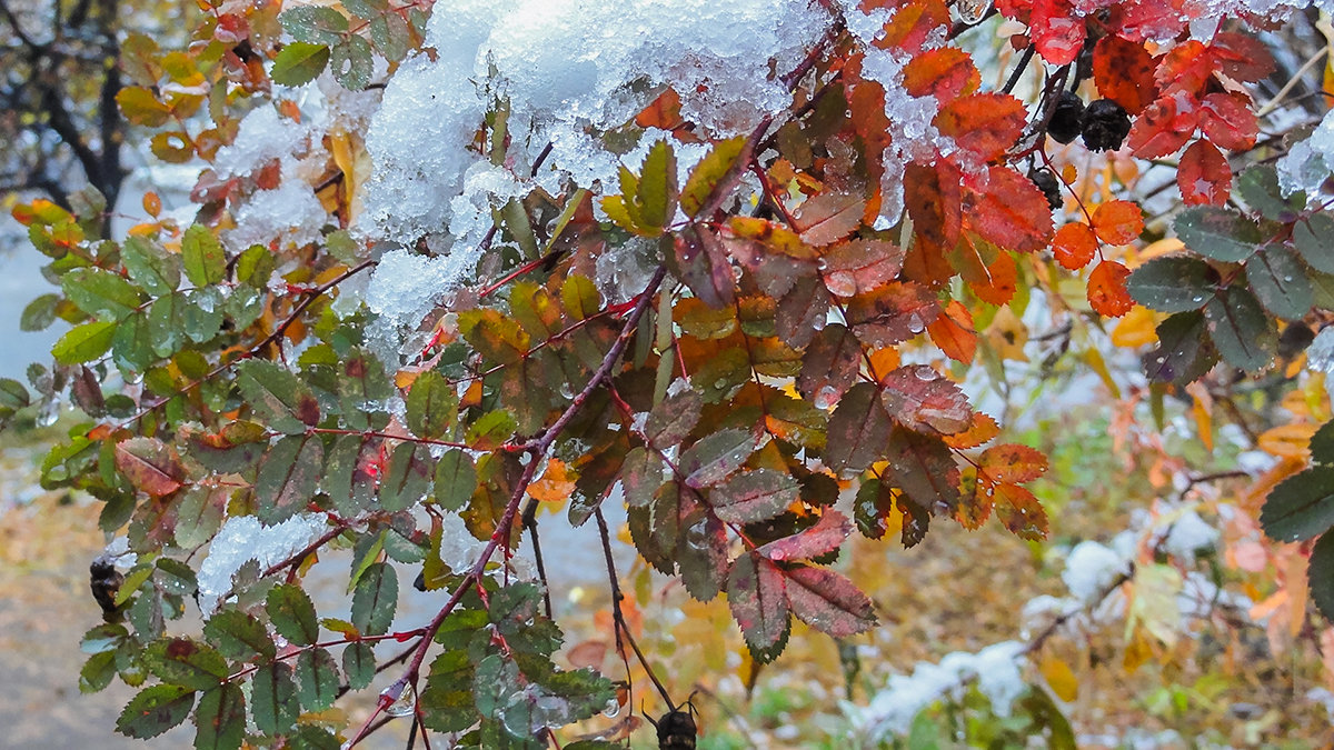 Октябрьский снег - Виктор 