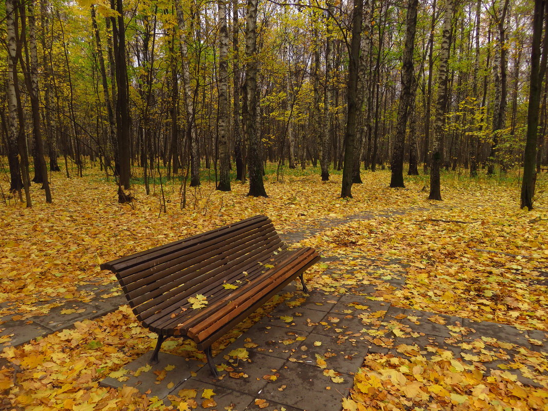 Зрелая осень - Андрей Лукьянов