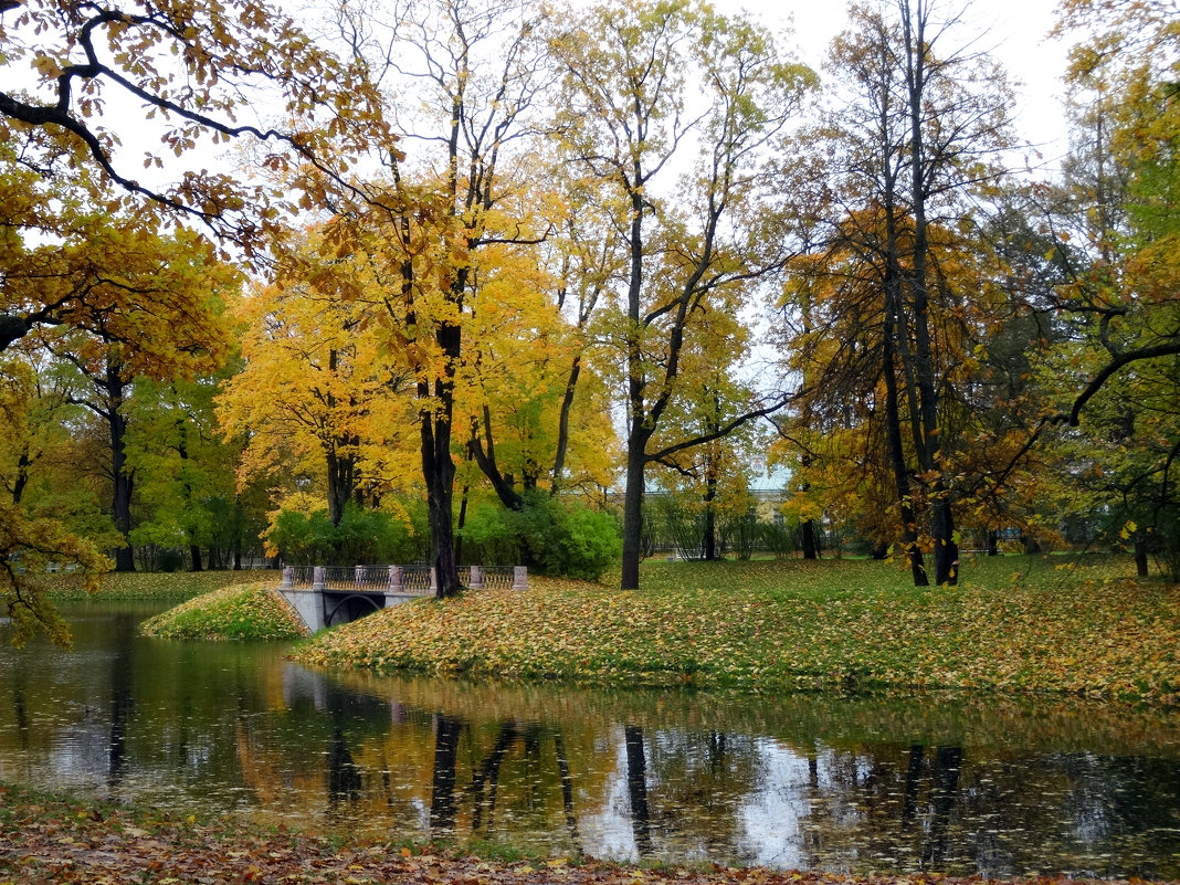 Осень в Александровском парке - Наталия Короткова