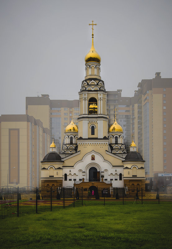 Храм иконы Божией Матери «Всецарица» г. Воронеж - Владимир Дальский